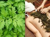Điều trị thoái hóa cột sống bằng thuốc nam đơn giản